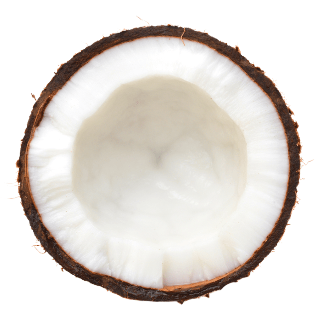 TFA Coconut (Extra) Concentrate - The Vape Store